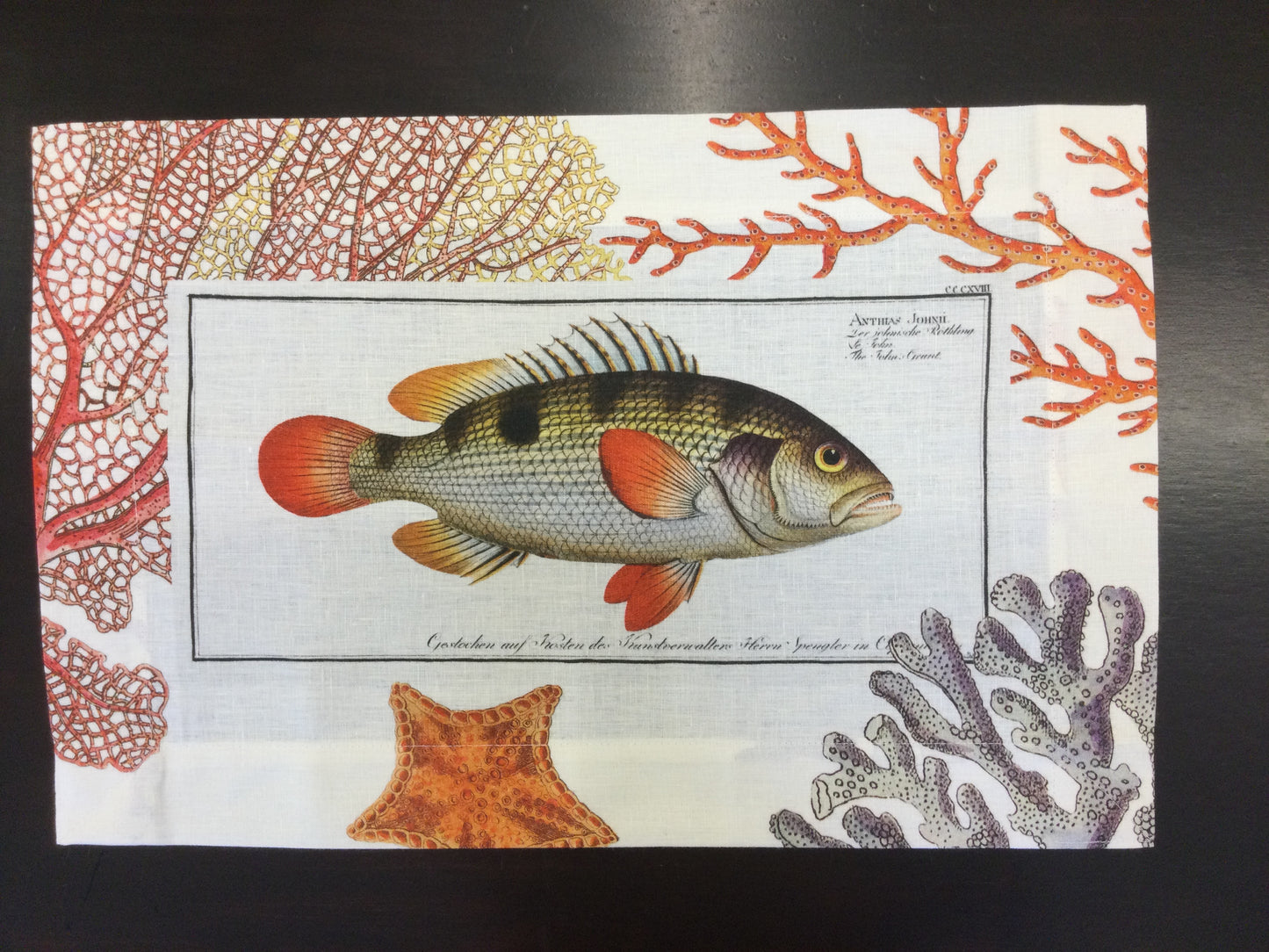 Tovagliette Americane Coralbay