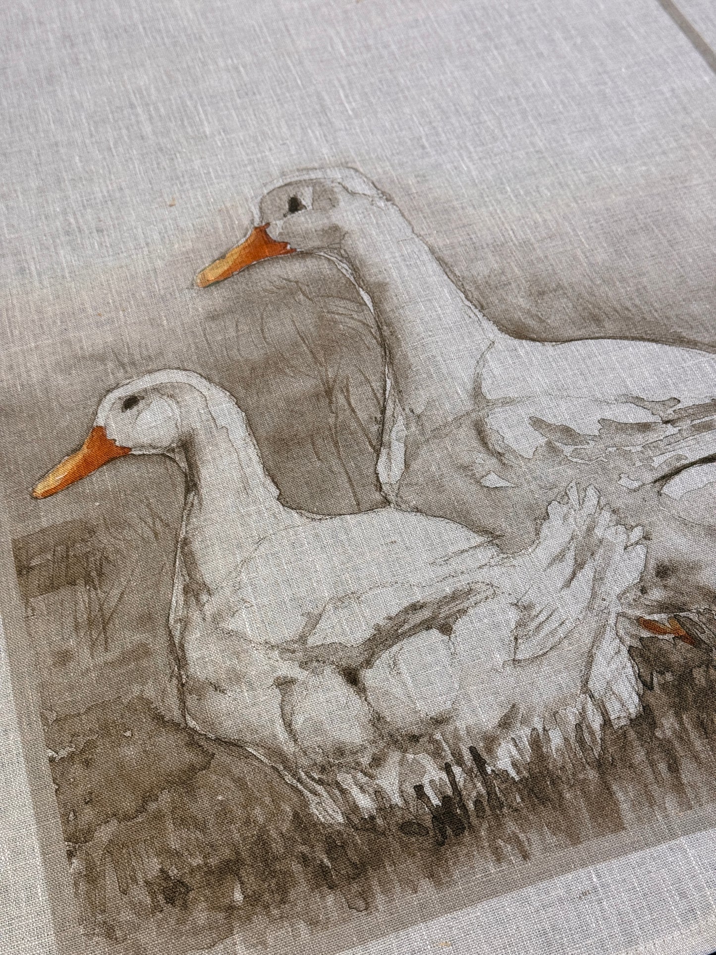 Canovaccio Papere e galline