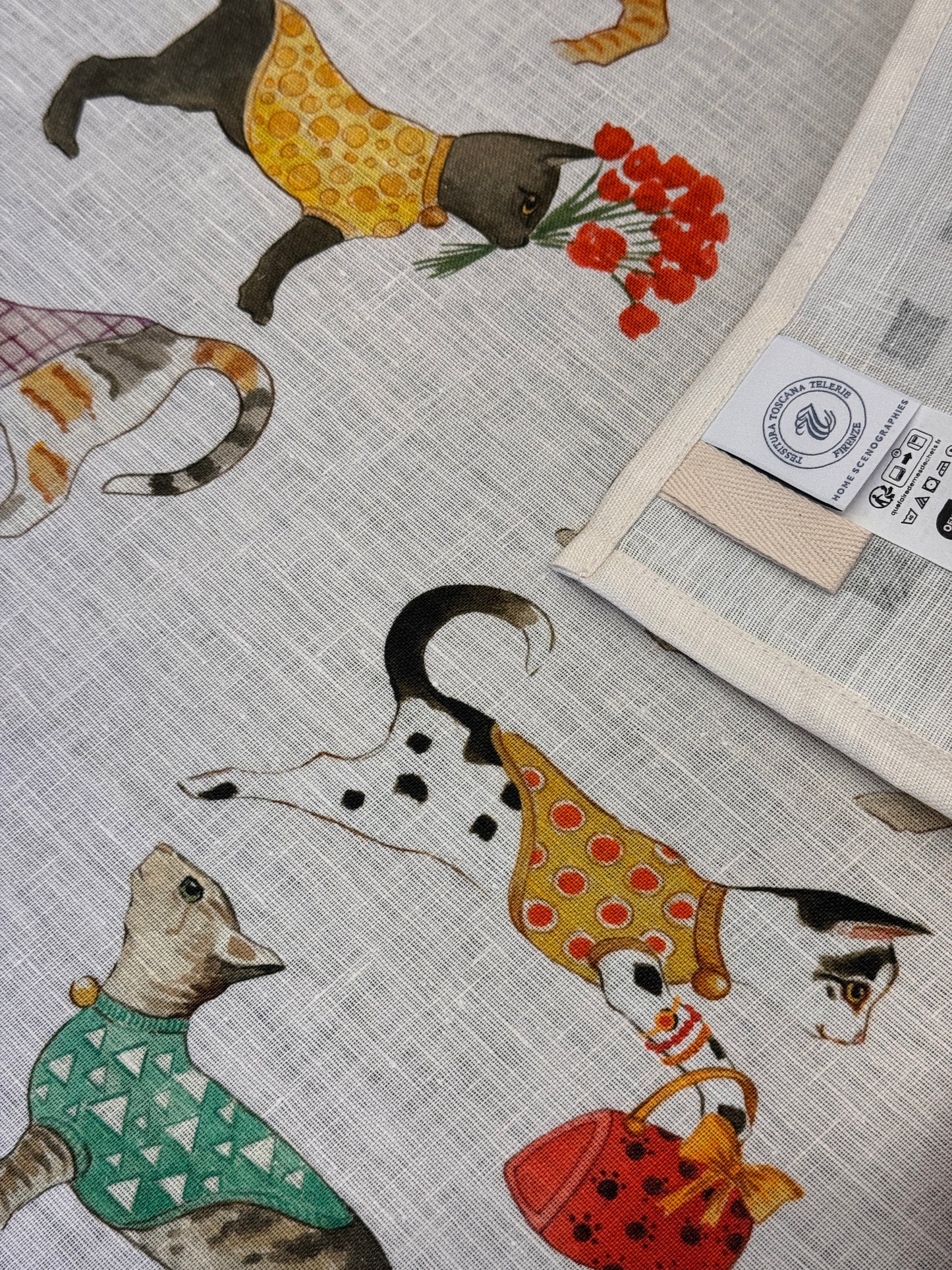 Canovaccio Cani e Gatti