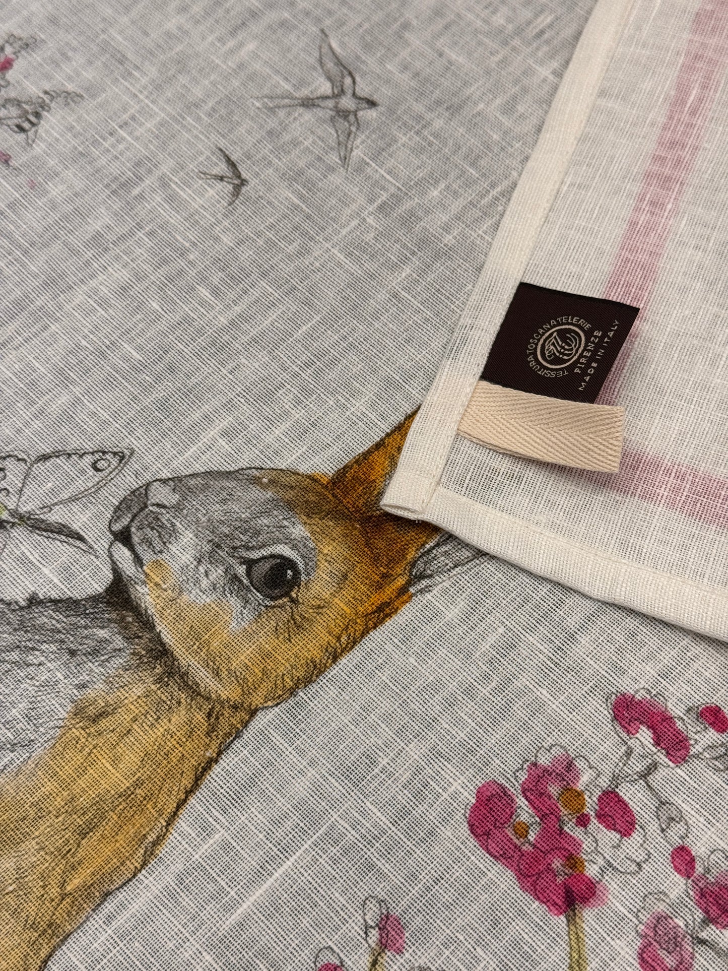 Canovacci Coniglietti