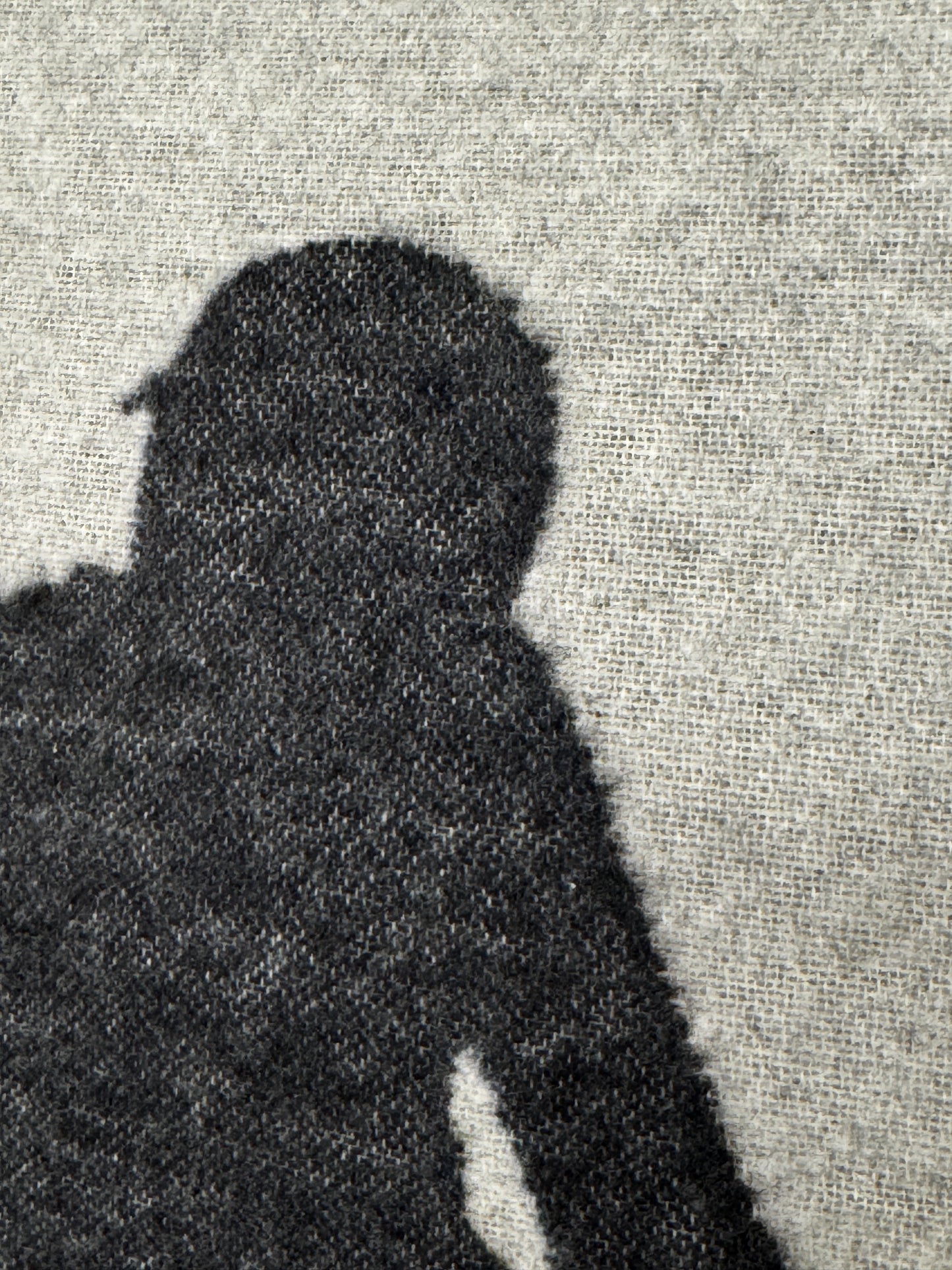 Cuscino sciatore (fodera)