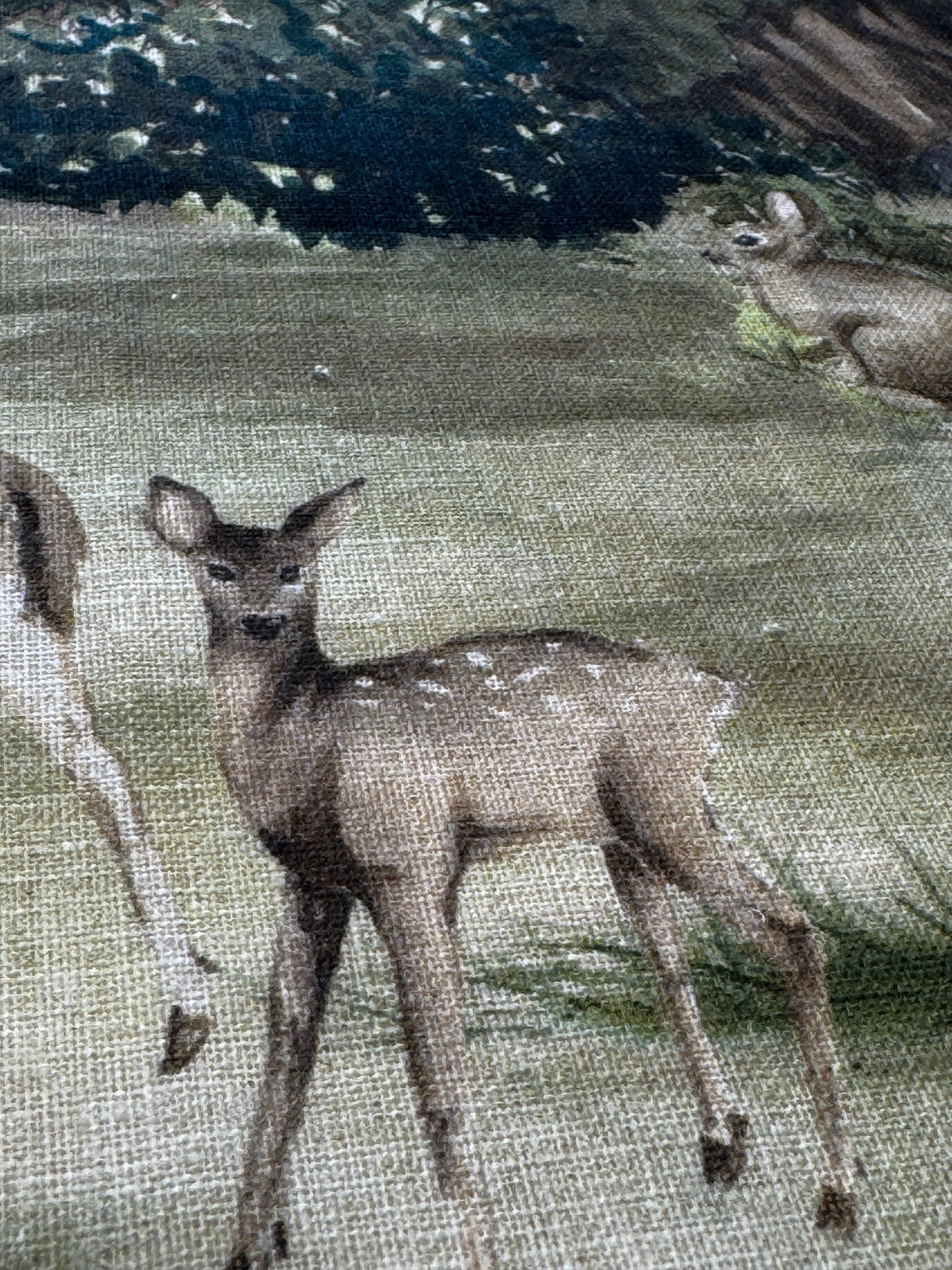 Canovaccio Bosco