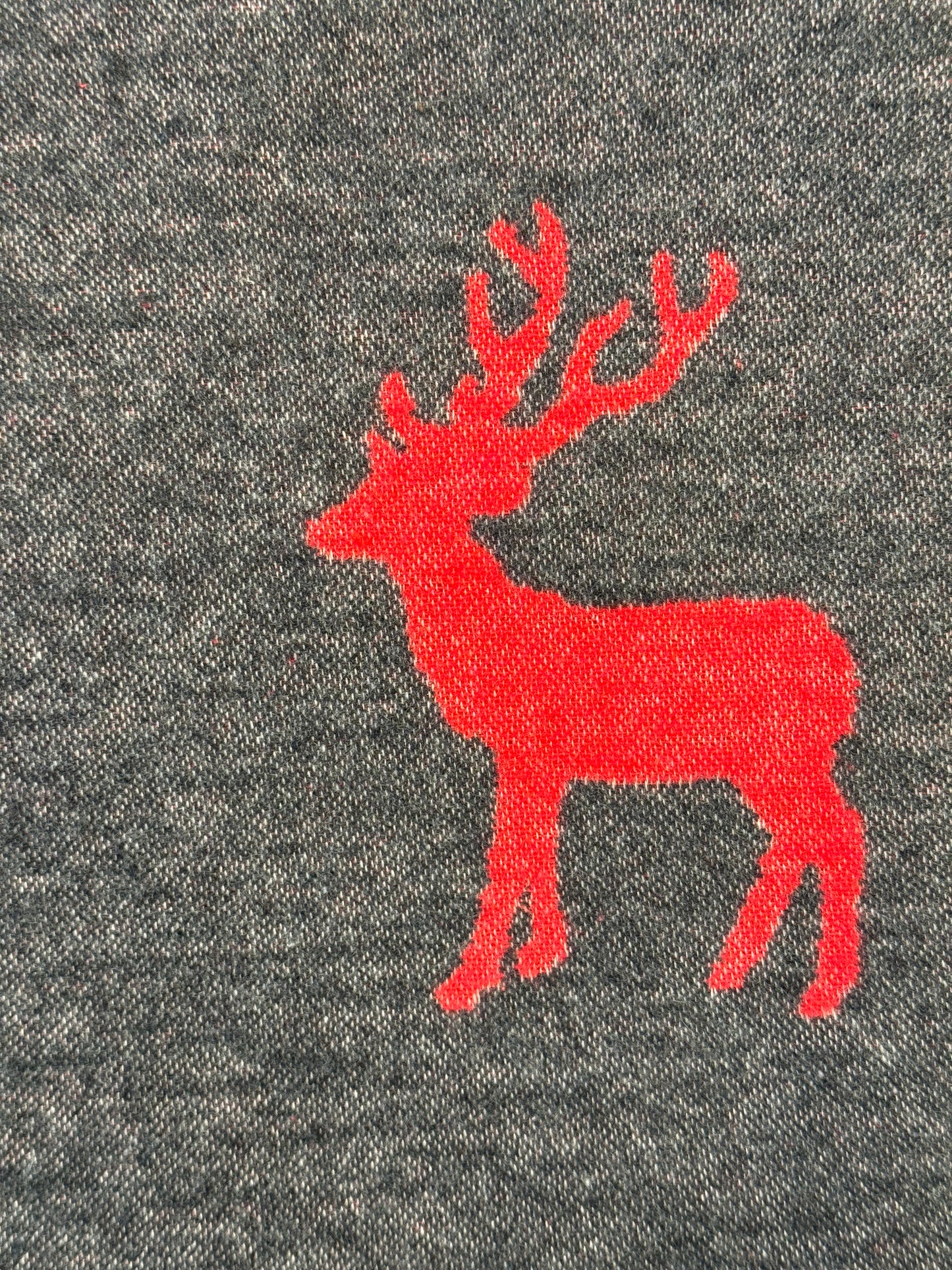 Coperta Cervetti