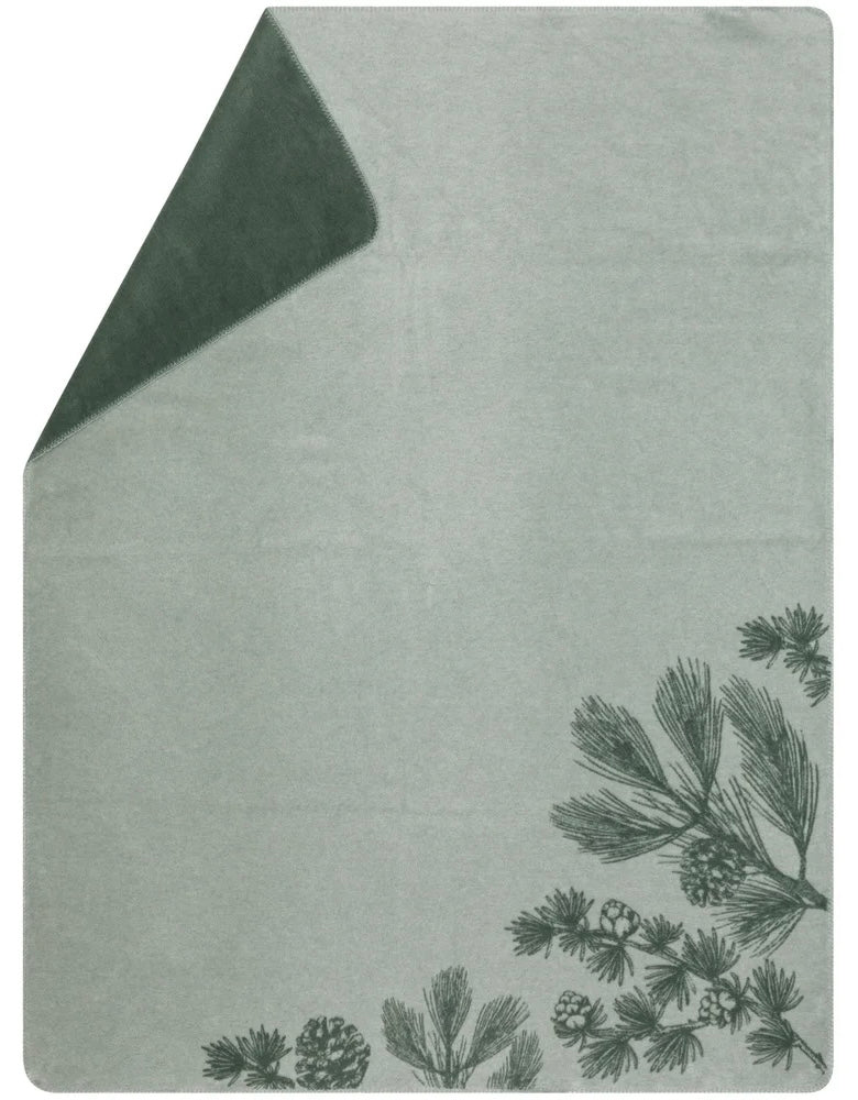 Coperta Pigne