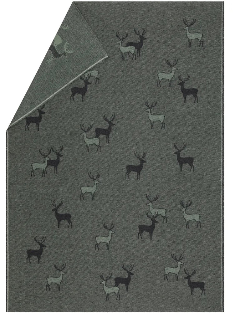 Coperta Cervi tabià