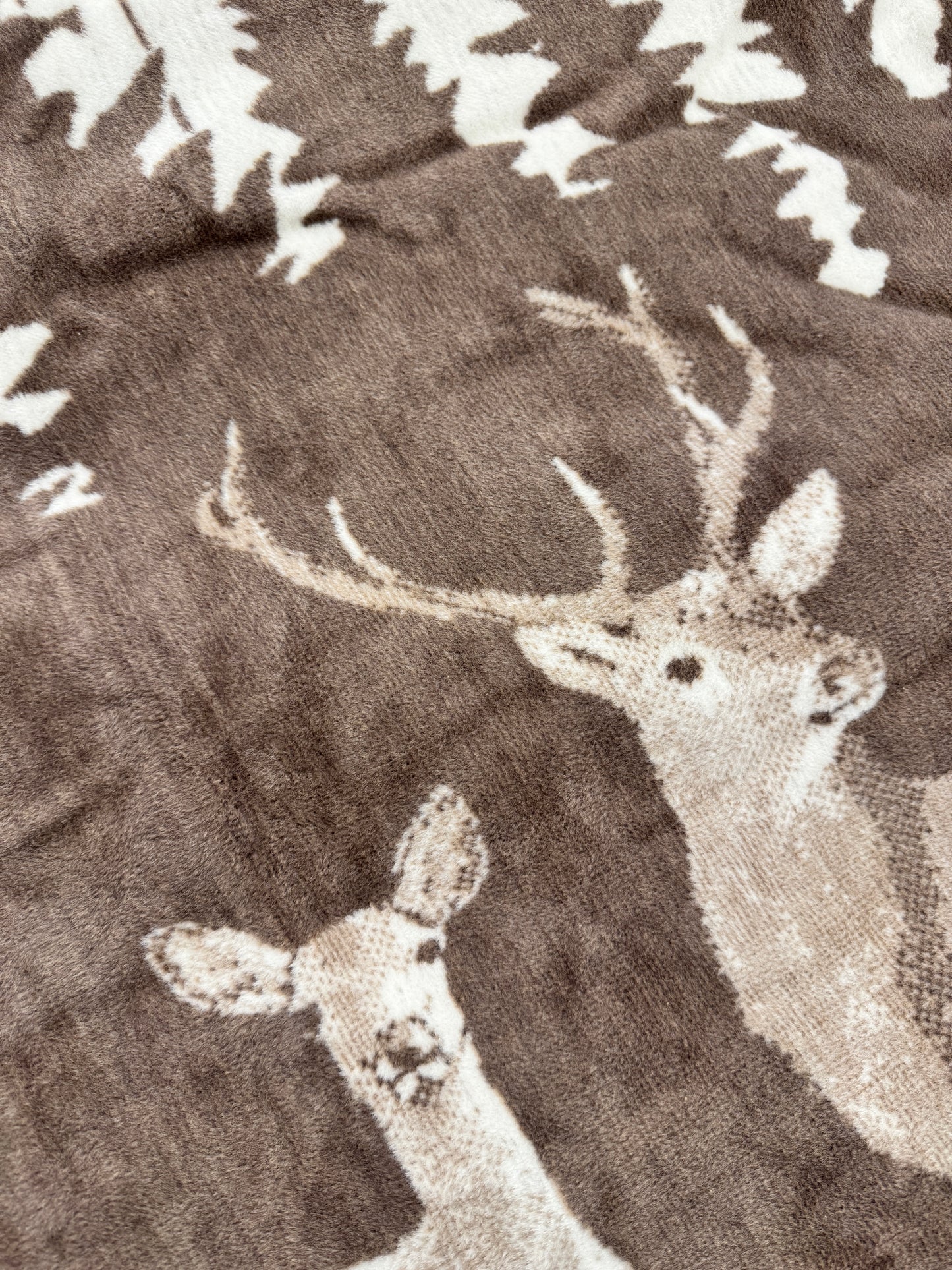 Coperta Lagorai